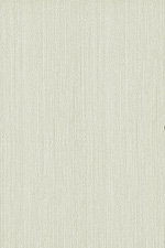 ������ Venis Silk